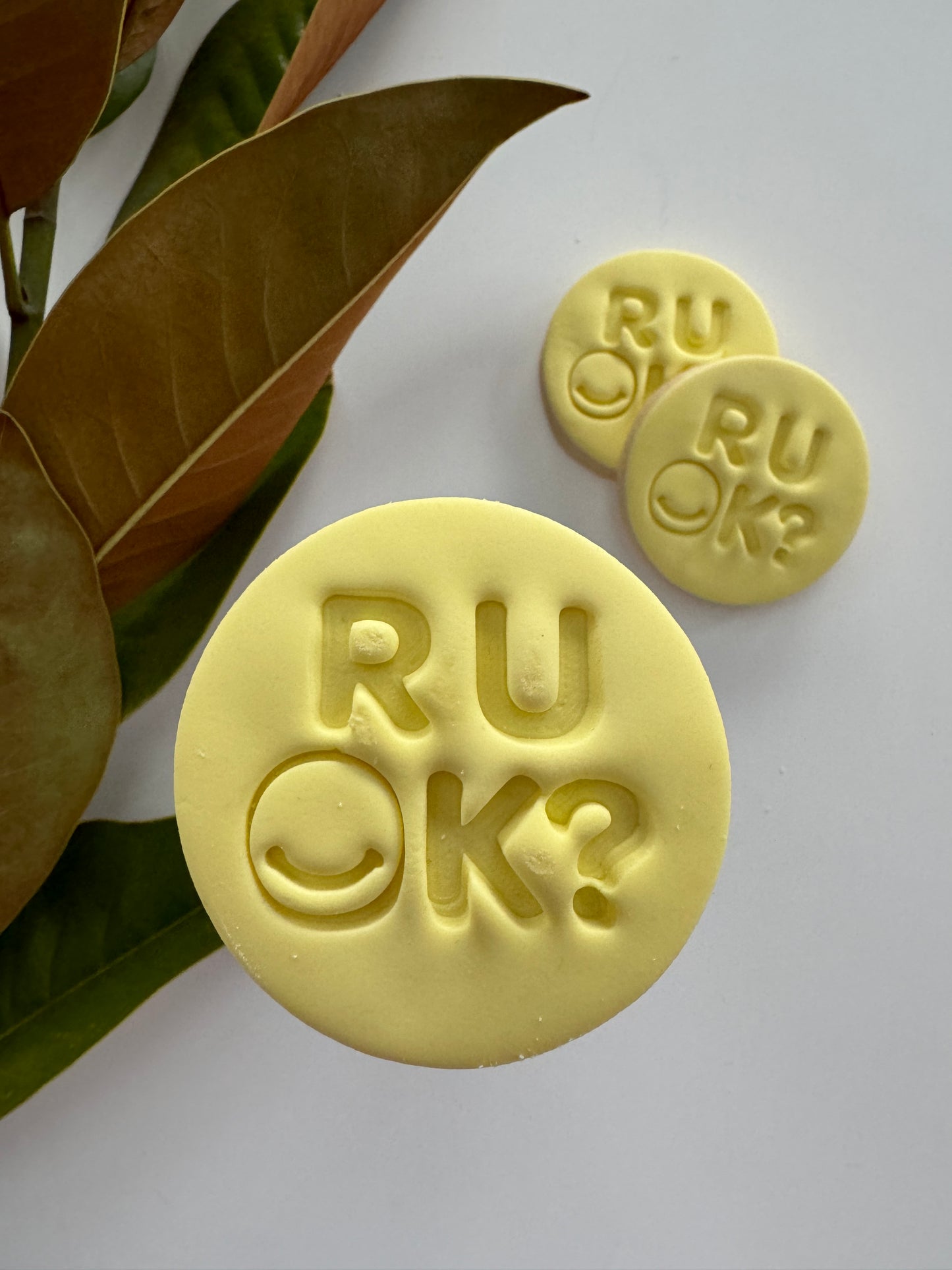 RUOk? Day